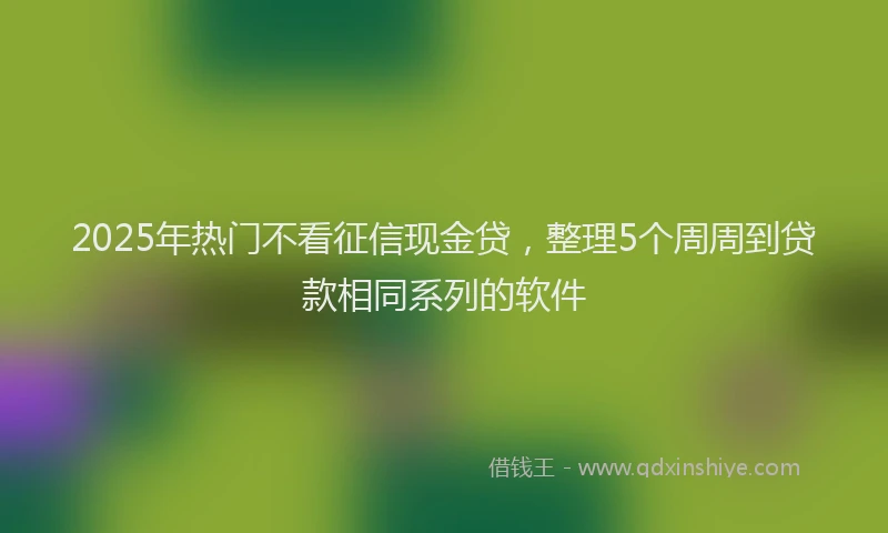 2025年热门不看征信现金贷，整理5个周周到贷款相同系列的软件
