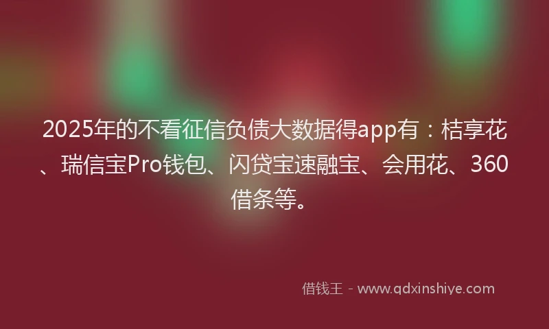 2025年的不看征信负债大数据得app有：桔享花、瑞信宝Pro钱包、闪贷宝速融宝、会用花、360借条等。