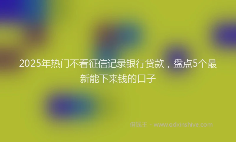 2025年热门不看征信记录银行贷款，盘点5个最新能下来钱的口子