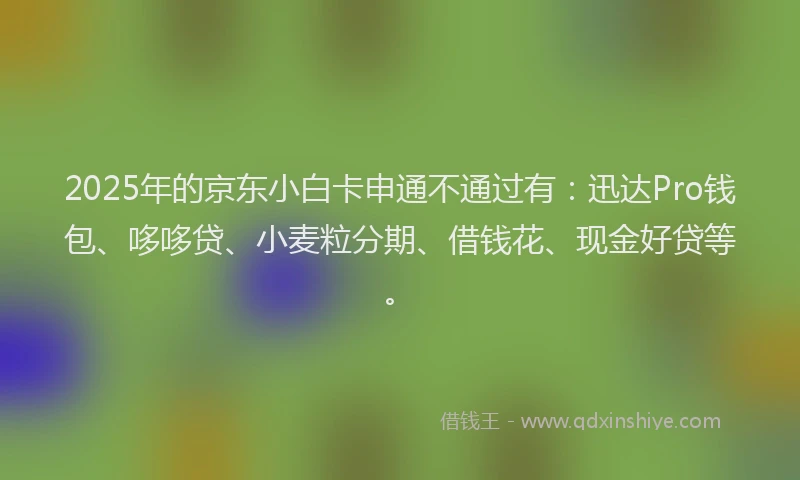 2025年的京东小白卡申通不通过有：迅达Pro钱包、哆哆贷、小麦粒分期、借钱花、现金好贷等。