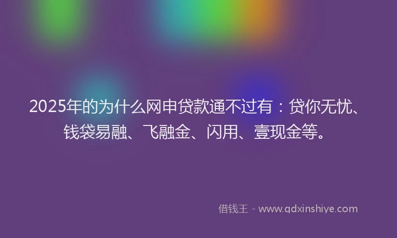 2025年的为什么网申贷款通不过有：贷你无忧、钱袋易融、飞融金、闪用、壹现金等。