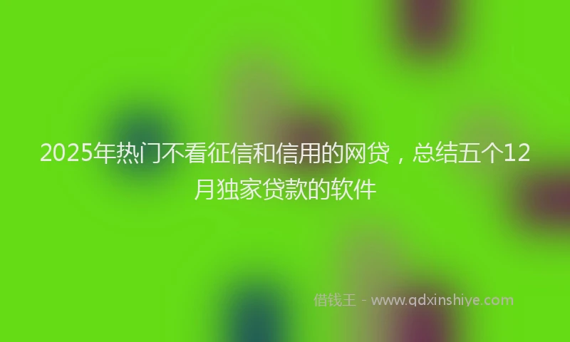 2025年热门不看征信和信用的网贷，总结五个12月独家贷款的软件