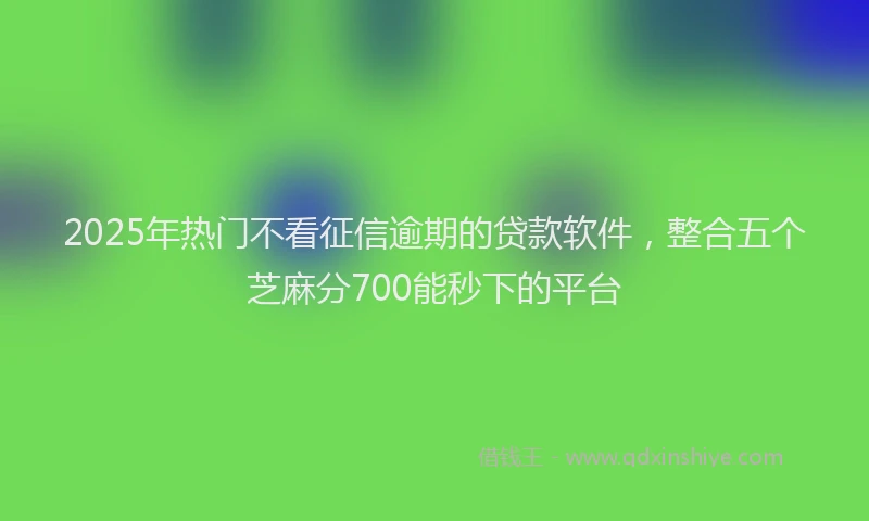 2025年热门不看征信逾期的贷款软件，整合五个芝麻分700能秒下的平台