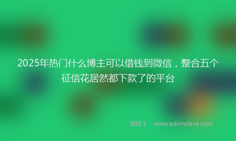 2025年热门什么博主可以借钱到微信，整合五个征信花居然都下款了的平台