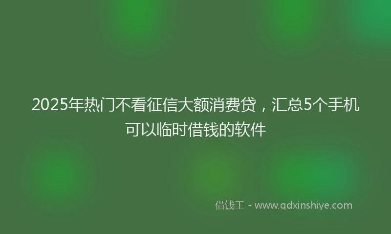 2025年热门不看征信大额消费贷，汇总5个手机可以临时借钱的软件
