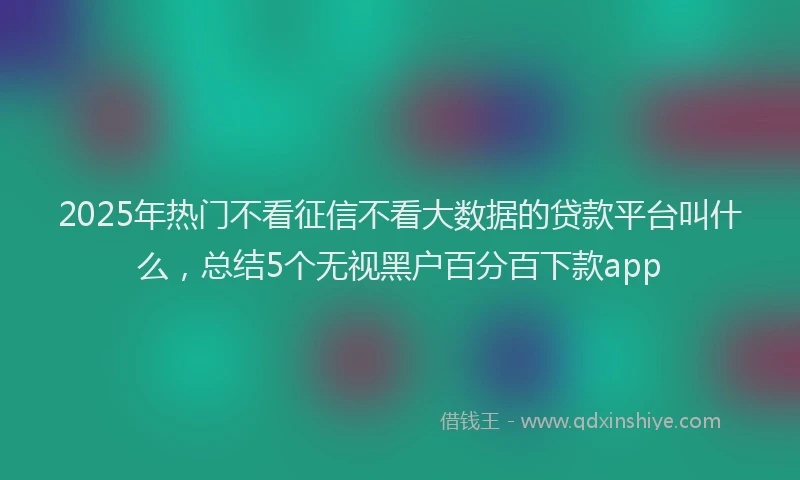 2025年热门不看征信不看大数据的贷款平台叫什么，总结5个无视黑户百分百下款app