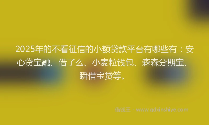 2025年的不看征信的小额贷款平台有哪些有：安心贷宝融、借了么、小麦粒钱包、森森分期宝、瞬借宝贷等。