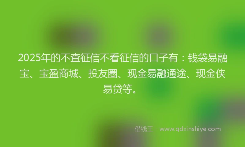 2025年的不查征信不看征信的口子有：钱袋易融宝、宝盈商城、投友圈、现金易融通途、现金侠易贷等。