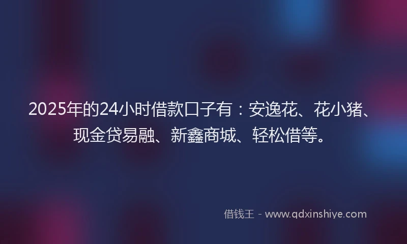 2025年的24小时借款口子有：安逸花、花小猪、现金贷易融、新鑫商城、轻松借等。