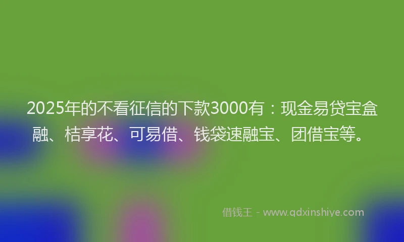 2025年的不看征信的下款3000有：现金易贷宝盒融、桔享花、可易借、钱袋速融宝、团借宝等。
