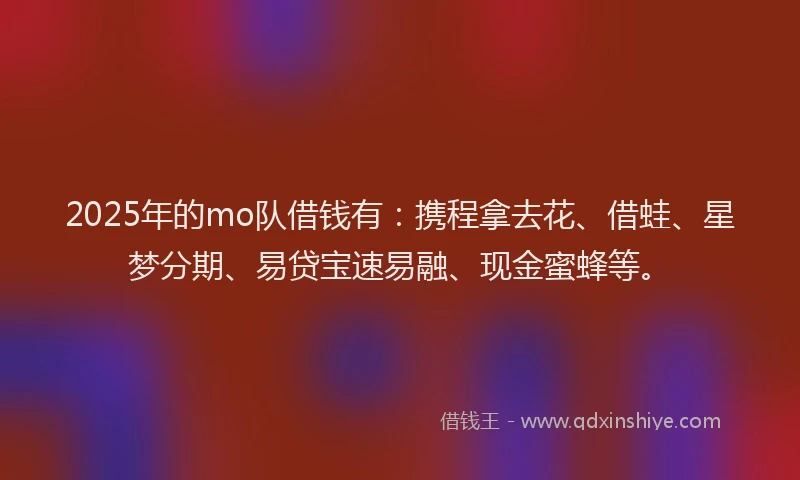 2025年的mo队借钱有：携程拿去花、借蛙、星梦分期、易贷宝速易融、现金蜜蜂等。
