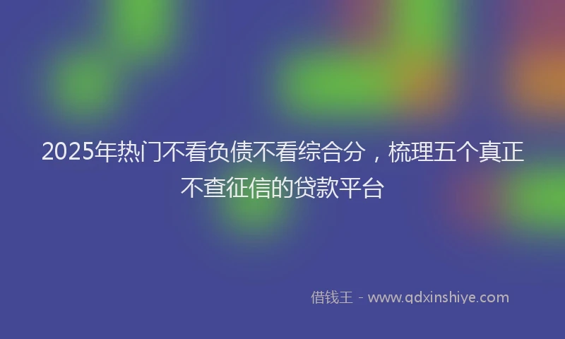 2025年热门不看负债不看综合分，梳理五个真正不查征信的贷款平台
