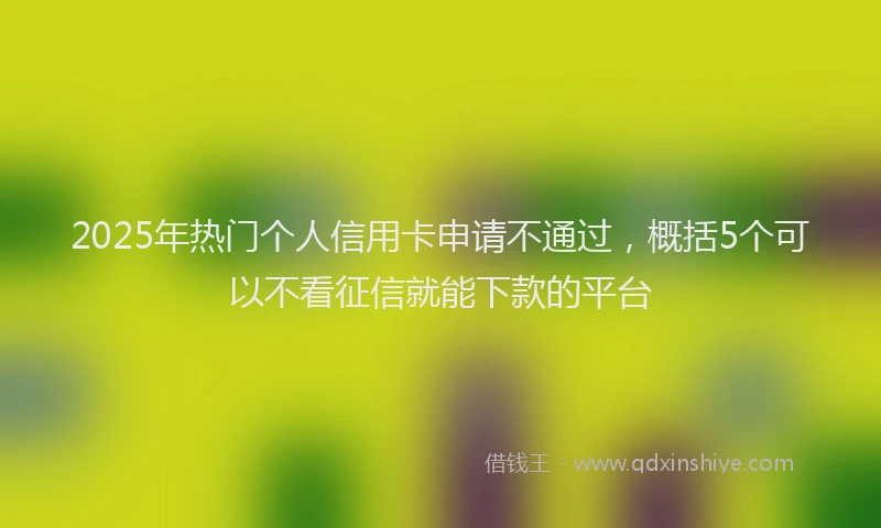 2025年热门个人信用卡申请不通过，概括5个可以不看征信就能下款的平台