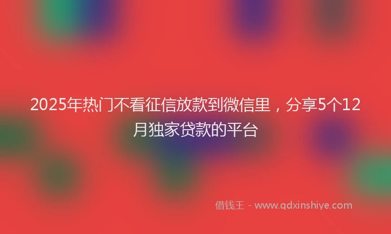 2025年热门不看征信放款到微信里，分享5个12月独家贷款的平台