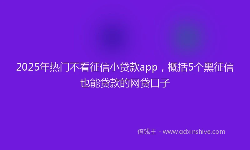 2025年热门不看征信小贷款app，概括5个黑征信也能贷款的网贷口子