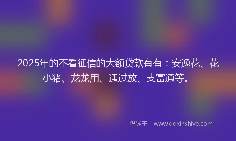 2025年的不看征信的大额贷款有有：安逸花、花小猪、龙龙用、通过放、支富通等。