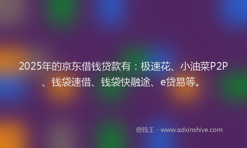 2025年的京东借钱贷款有：极速花、小油菜P2P、钱袋速借、钱袋快融途、e贷易等。