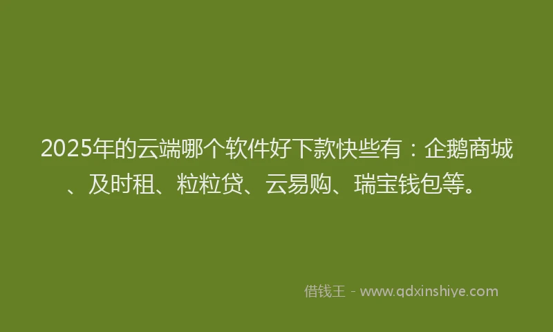 2025年的云端哪个软件好下款快些有：企鹅商城、及时租、粒粒贷、云易购、瑞宝钱包等。