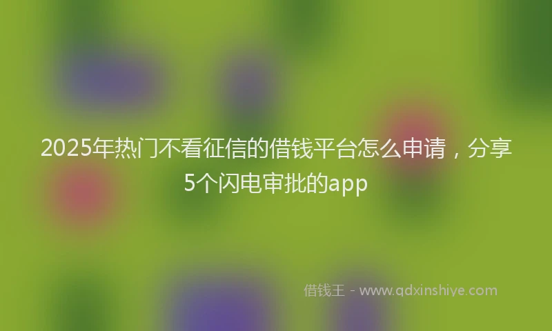 2025年热门不看征信的借钱平台怎么申请，分享5个闪电审批的app