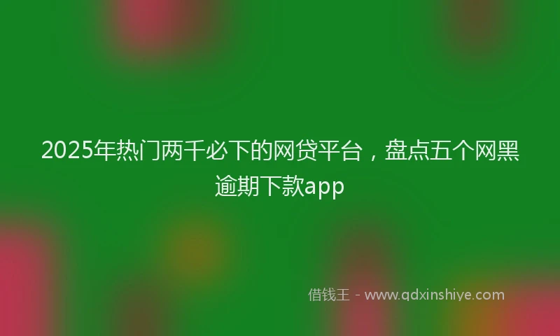 2025年热门两千必下的网贷平台，盘点五个网黑逾期下款app
