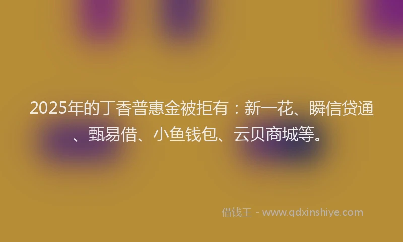 2025年的丁香普惠金被拒有：新一花、瞬信贷通、甄易借、小鱼钱包、云贝商城等。