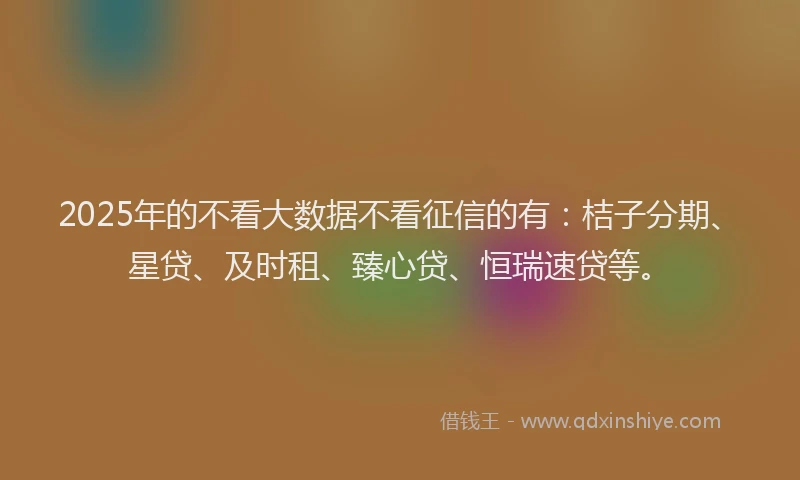 2025年的不看大数据不看征信的有：桔子分期、星贷、及时租、臻心贷、恒瑞速贷等。