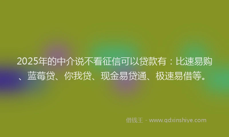 2025年的中介说不看征信可以贷款有：比速易购、蓝莓贷、你我贷、现金易贷通、极速易借等。