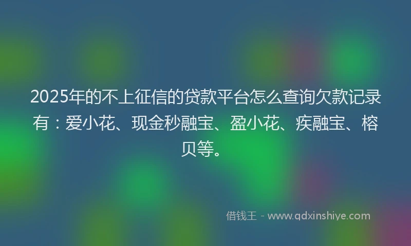 2025年的不上征信的贷款平台怎么查询欠款记录有：爱小花、现金秒融宝、盈小花、疾融宝、榕贝等。