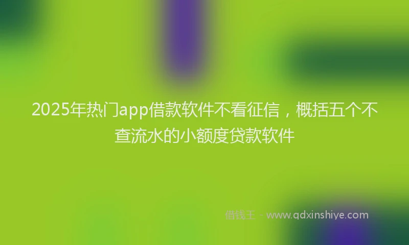2025年热门app借款软件不看征信，概括五个不查流水的小额度贷款软件
