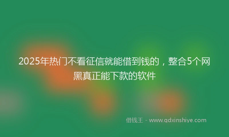 2025年热门不看征信就能借到钱的，整合5个网黑真正能下款的软件