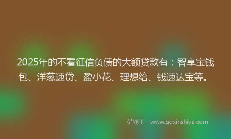 2025年的不看征信负债的大额贷款有：智享宝钱包、洋葱速贷、盈小花、理想给、钱速达宝等。