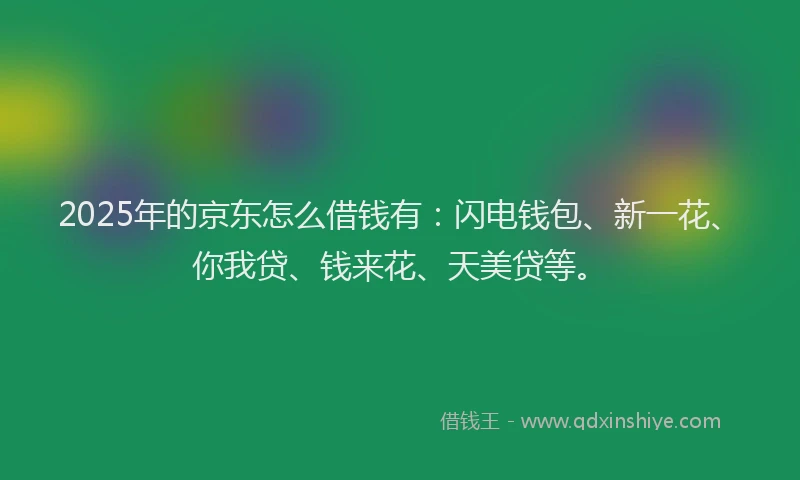 2025年的京东怎么借钱有：闪电钱包、新一花、你我贷、钱来花、天美贷等。
