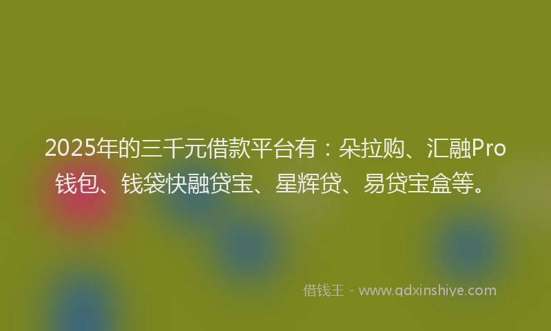 2025年的三千元借款平台有：朵拉购、汇融Pro钱包、钱袋快融贷宝、星辉贷、易贷宝盒等。