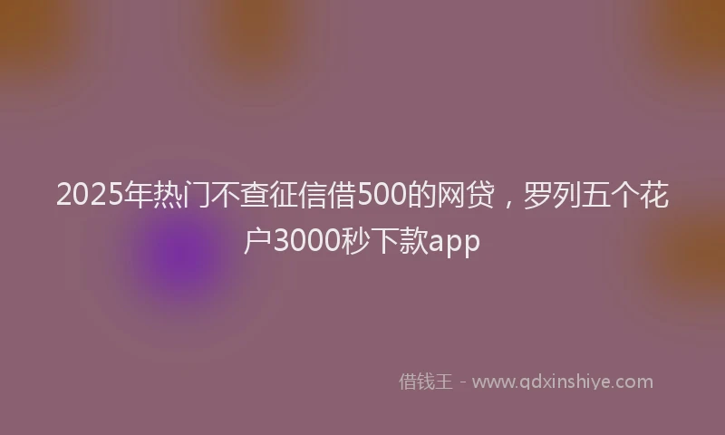 2025年热门不查征信借500的网贷，罗列五个花户3000秒下款app