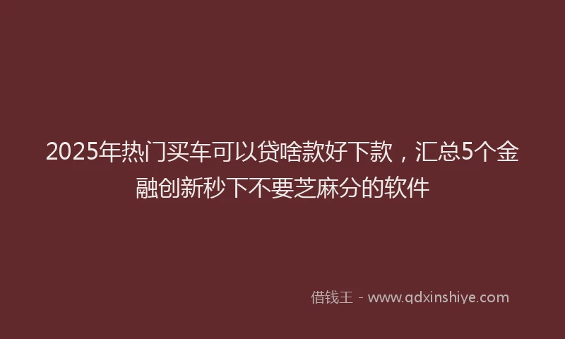 2025年热门买车可以贷啥款好下款，汇总5个金融创新秒下不要芝麻分的软件