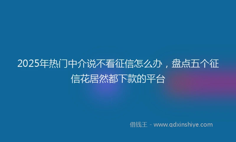 2025年热门中介说不看征信怎么办，盘点五个征信花居然都下款的平台