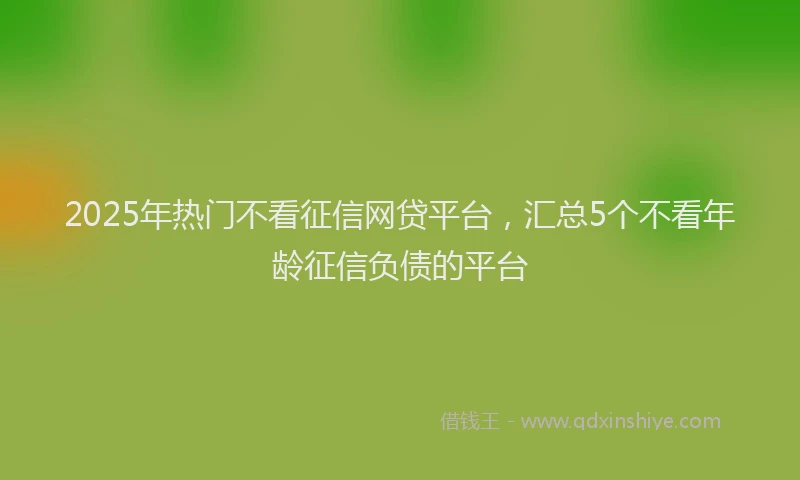 2025年热门不看征信网贷平台，汇总5个不看年龄征信负债的平台