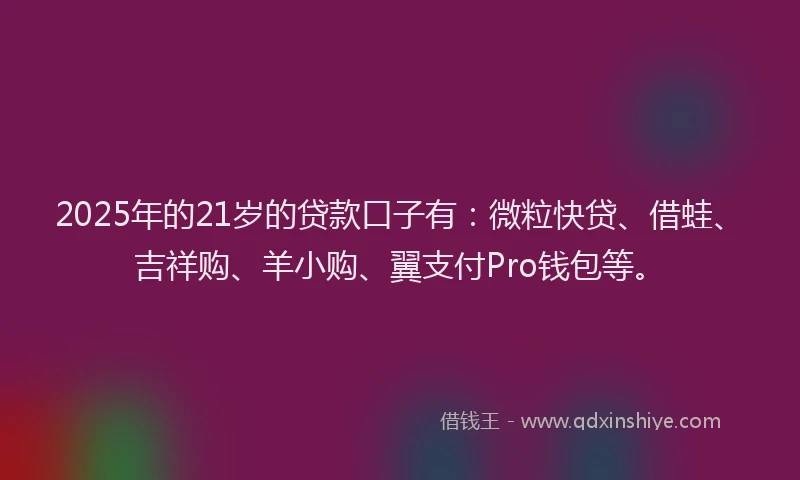 2025年的21岁的贷款口子有：微粒快贷、借蛙、吉祥购、羊小购、翼支付Pro钱包等。
