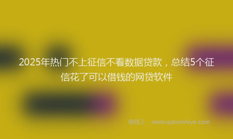 2025年热门不上征信不看数据贷款，总结5个征信花了可以借钱的网贷软件