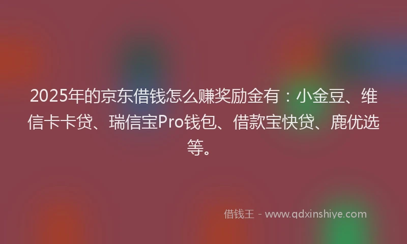 2025年的京东借钱怎么赚奖励金有：小金豆、维信卡卡贷、瑞信宝Pro钱包、借款宝快贷、鹿优选等。