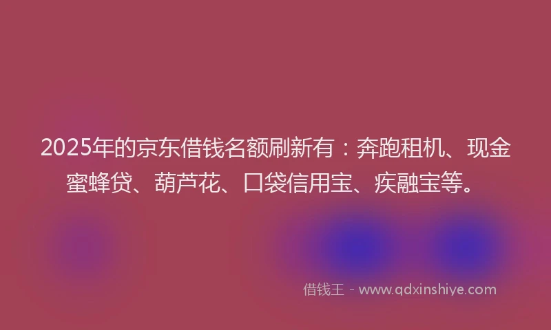 2025年的京东借钱名额刷新有：奔跑租机、现金蜜蜂贷、葫芦花、口袋信用宝、疾融宝等。