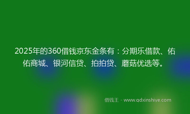 2025年的360借钱京东金条有：分期乐借款、佑佑商城、银河信贷、拍拍贷、蘑菇优选等。