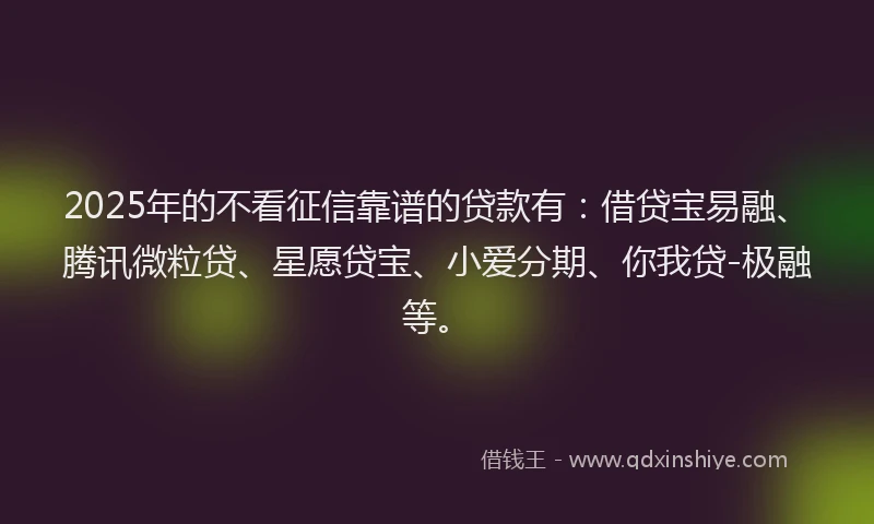 2025年的不看征信靠谱的贷款有：借贷宝易融、腾讯微粒贷、星愿贷宝、小爱分期、你我贷-极融等。