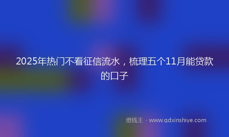 2025年热门不看征信流水，梳理五个11月能贷款的口子