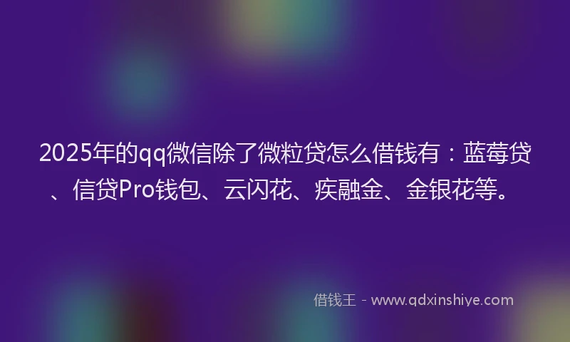 2025年的qq微信除了微粒贷怎么借钱有：蓝莓贷、信贷Pro钱包、云闪花、疾融金、金银花等。