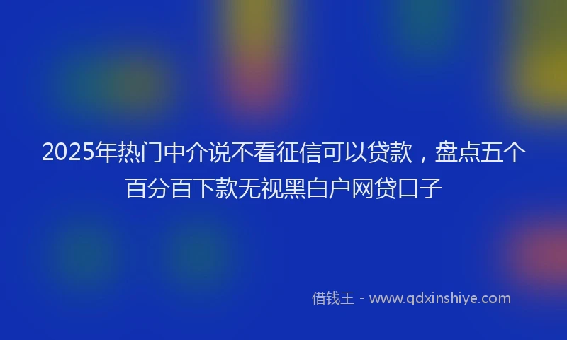 2025年热门中介说不看征信可以贷款，盘点五个百分百下款无视黑白户网贷口子