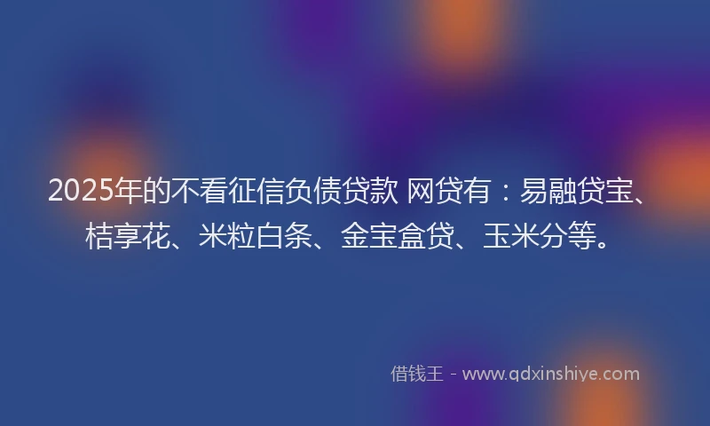 2025年的不看征信负债贷款 网贷有：易融贷宝、桔享花、米粒白条、金宝盒贷、玉米分等。