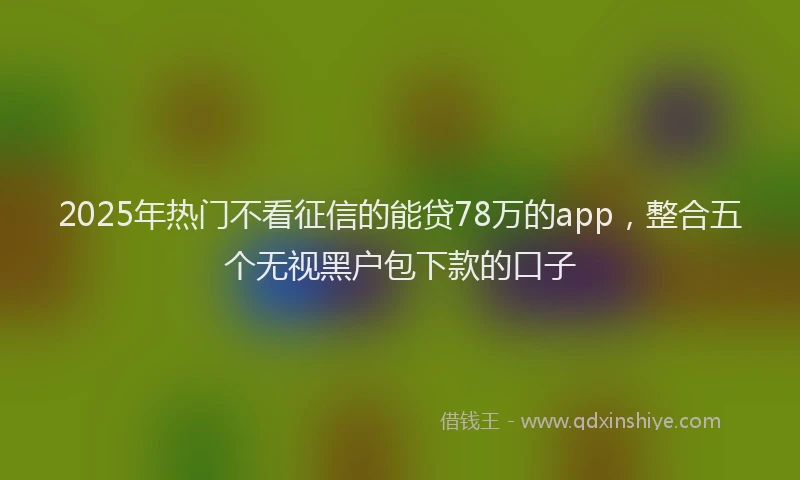 2025年热门不看征信的能贷78万的app，整合五个无视黑户包下款的口子
