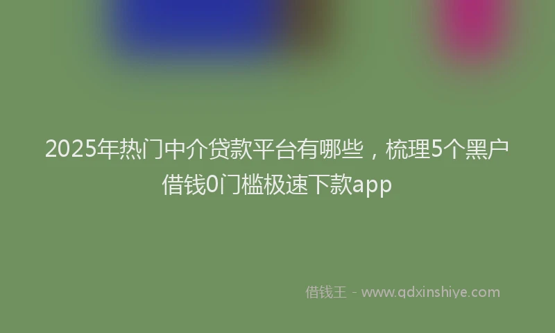 2025年热门中介贷款平台有哪些，梳理5个黑户借钱0门槛极速下款app