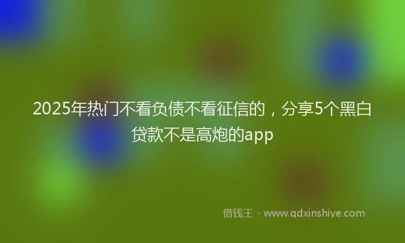 2025年热门不看负债不看征信的，分享5个黑白贷款不是高炮的app
